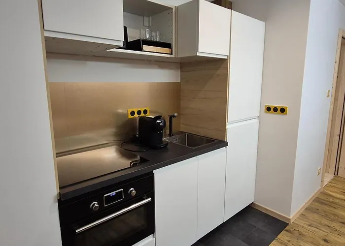 L'or Du Aparthotel Gérardmer